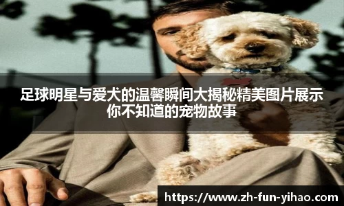足球明星与爱犬的温馨瞬间大揭秘精美图片展示你不知道的宠物故事